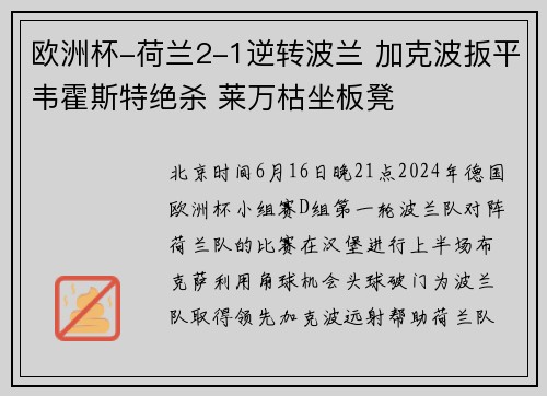 欧洲杯-荷兰2-1逆转波兰 加克波扳平韦霍斯特绝杀 莱万枯坐板凳